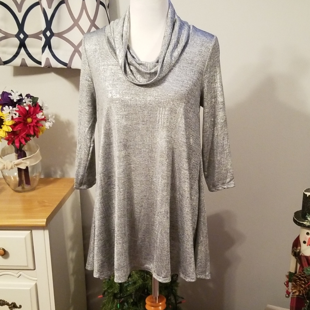 NWT CHELSEA & THEODORE SILVER DRESS